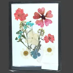 Pressed Flowers